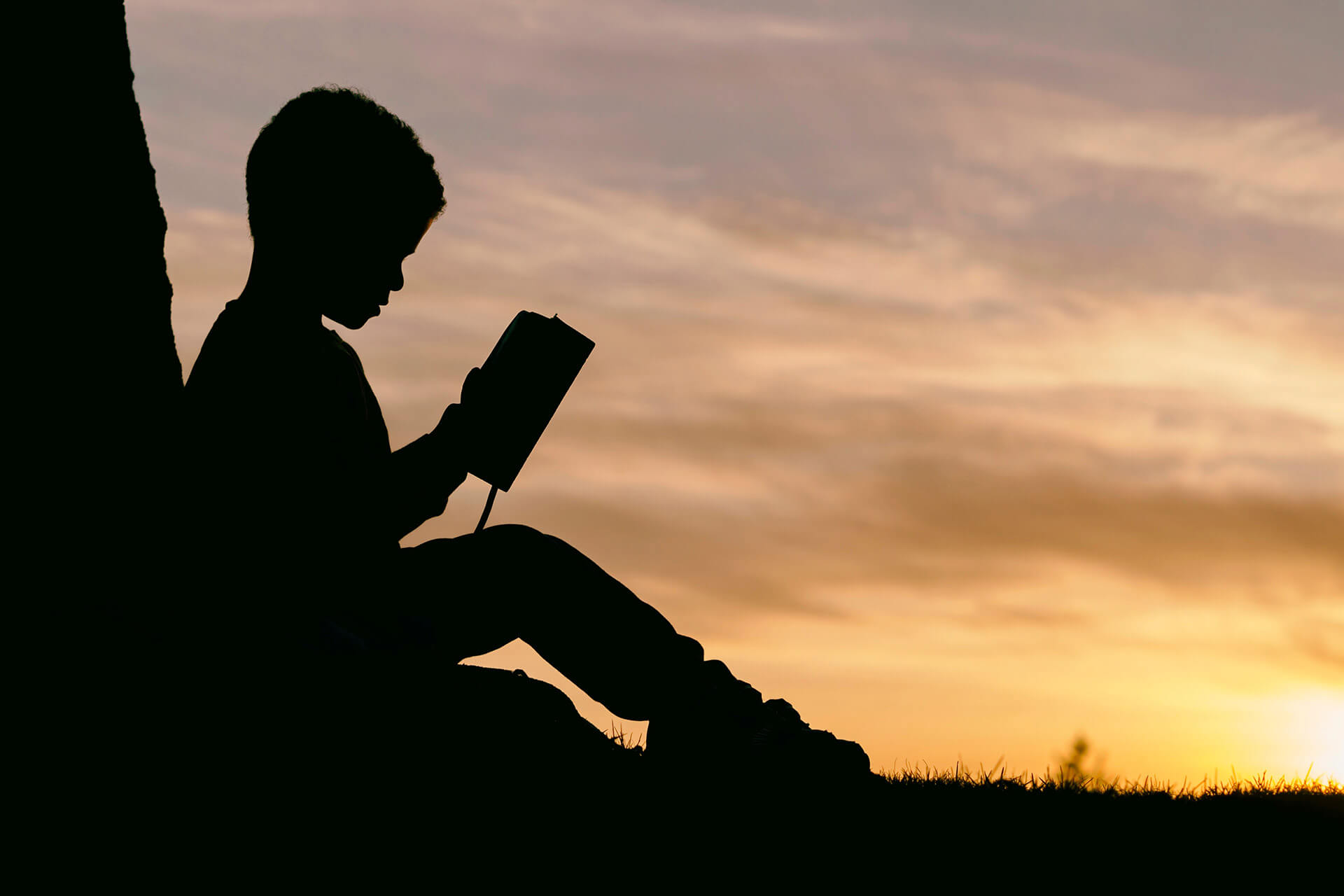 Online Learning Platforms