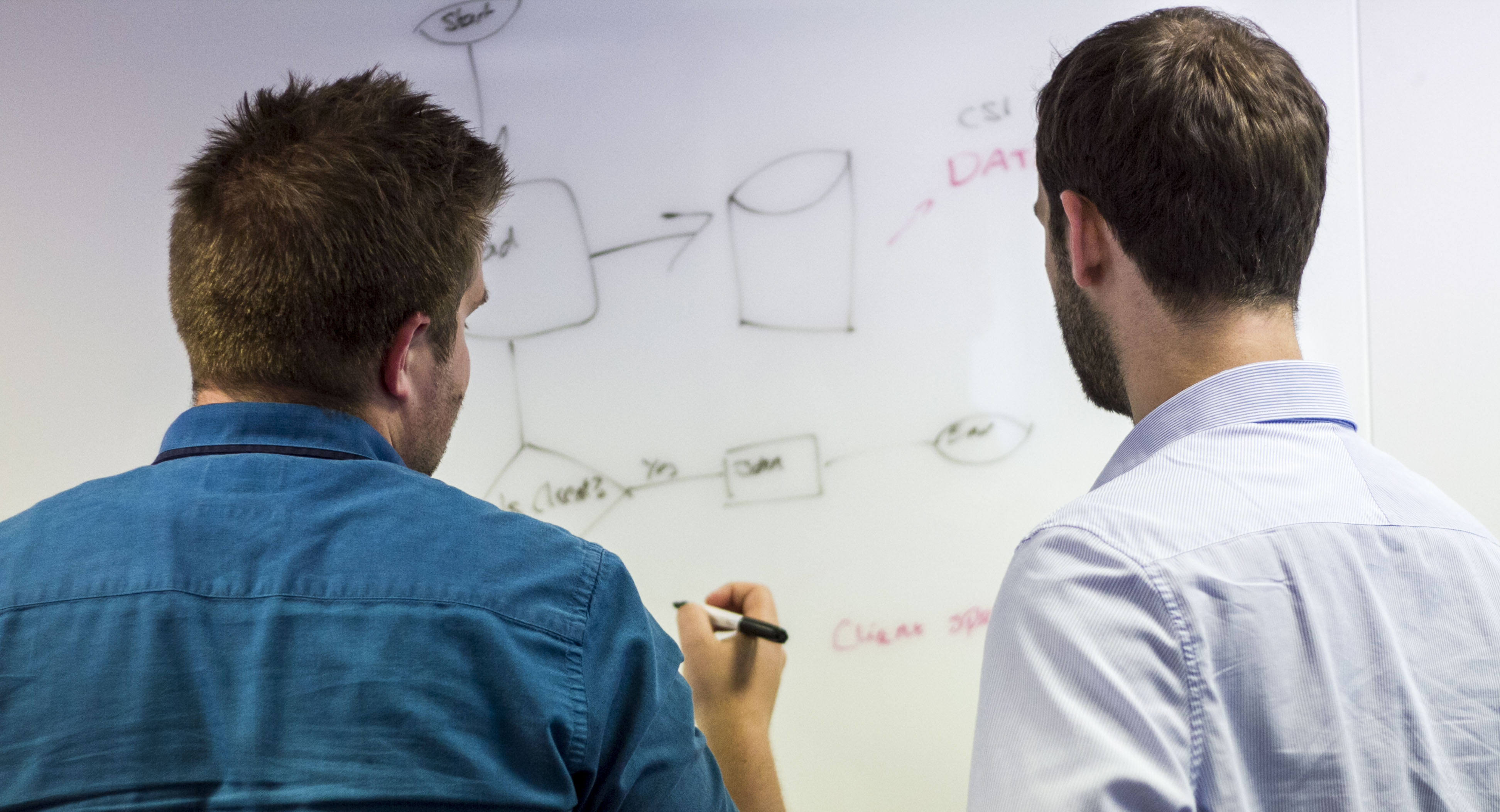 Web Developer Careers