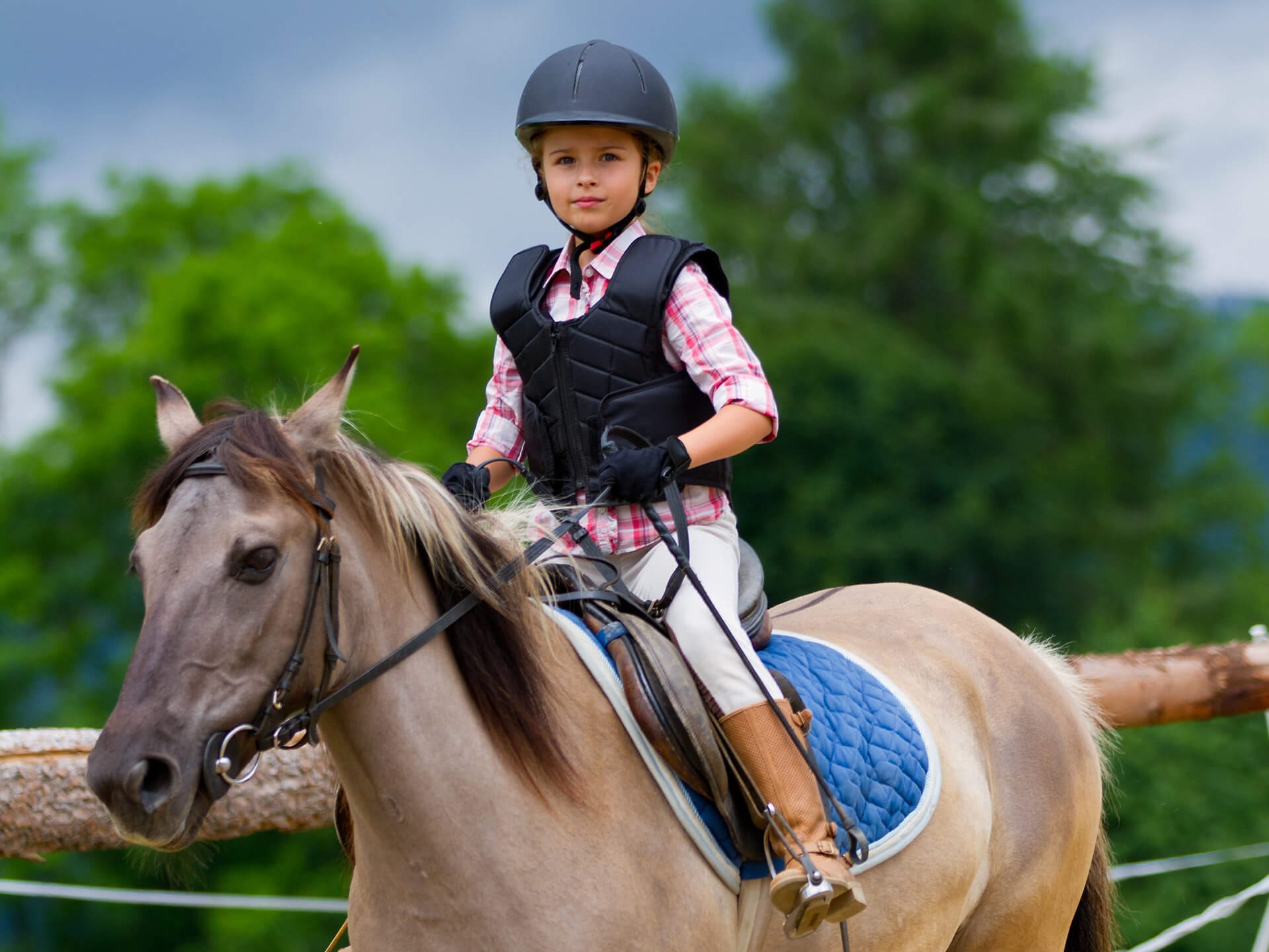 Think Like a Pony Portfolio Artwork Horse and Rider