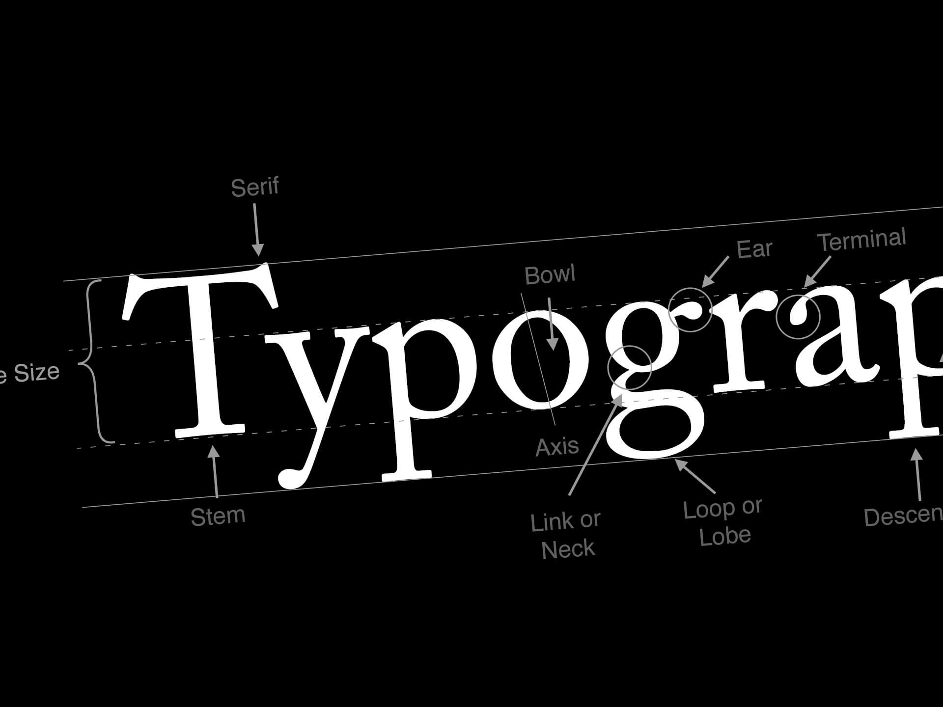 Typography