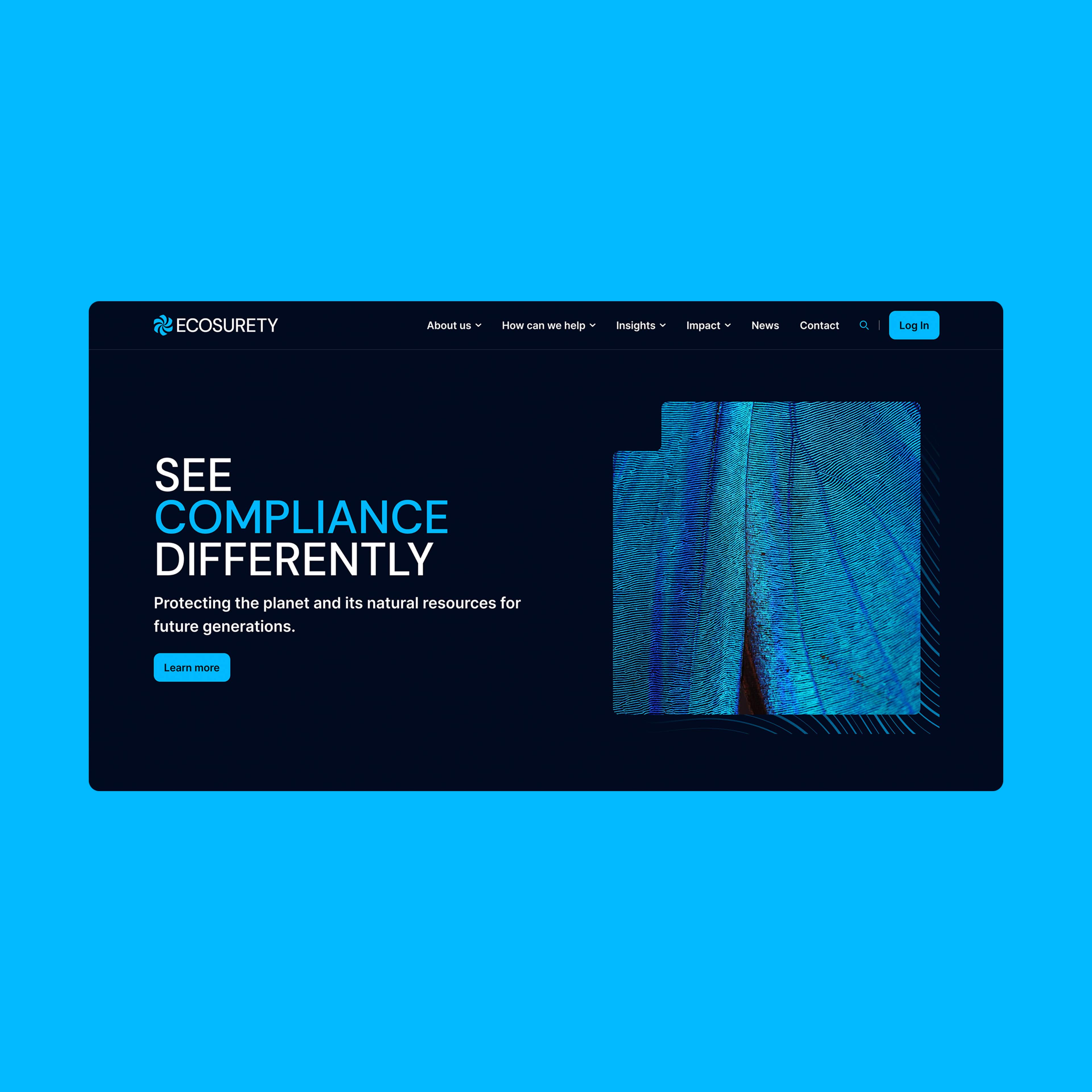 Contentful Website Development